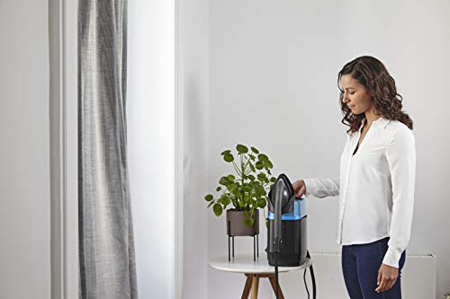 Rowenta Ixeo UR1910 Cepillo de vapor 2170 W, 5.8 bares presión vapor, depósito 1.1 L, elimina arrugas, olores y desinfecta, hasta 200 g/min, sistema portátil