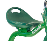 Italtrike- Transporter Triciclo, Color Verde, groß (IT1021TRA996182)