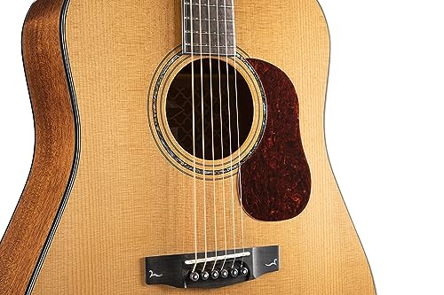 Cort Gold D6 Western Guitar
