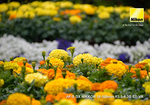 Nikon AFSDXVR18-300G6.3 - Objetivo para cámara 18-300 mm/F 3.5-6.3 AF-S DX G ED VR
