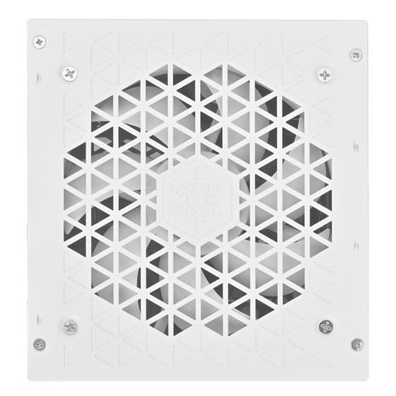 Silverstone Triton 1000Rz, Fuente de alimentación ATX Totalmente Modular PCIe 5 Cybenetics Gold 1000W, SST-TR1000R-GM-WWW