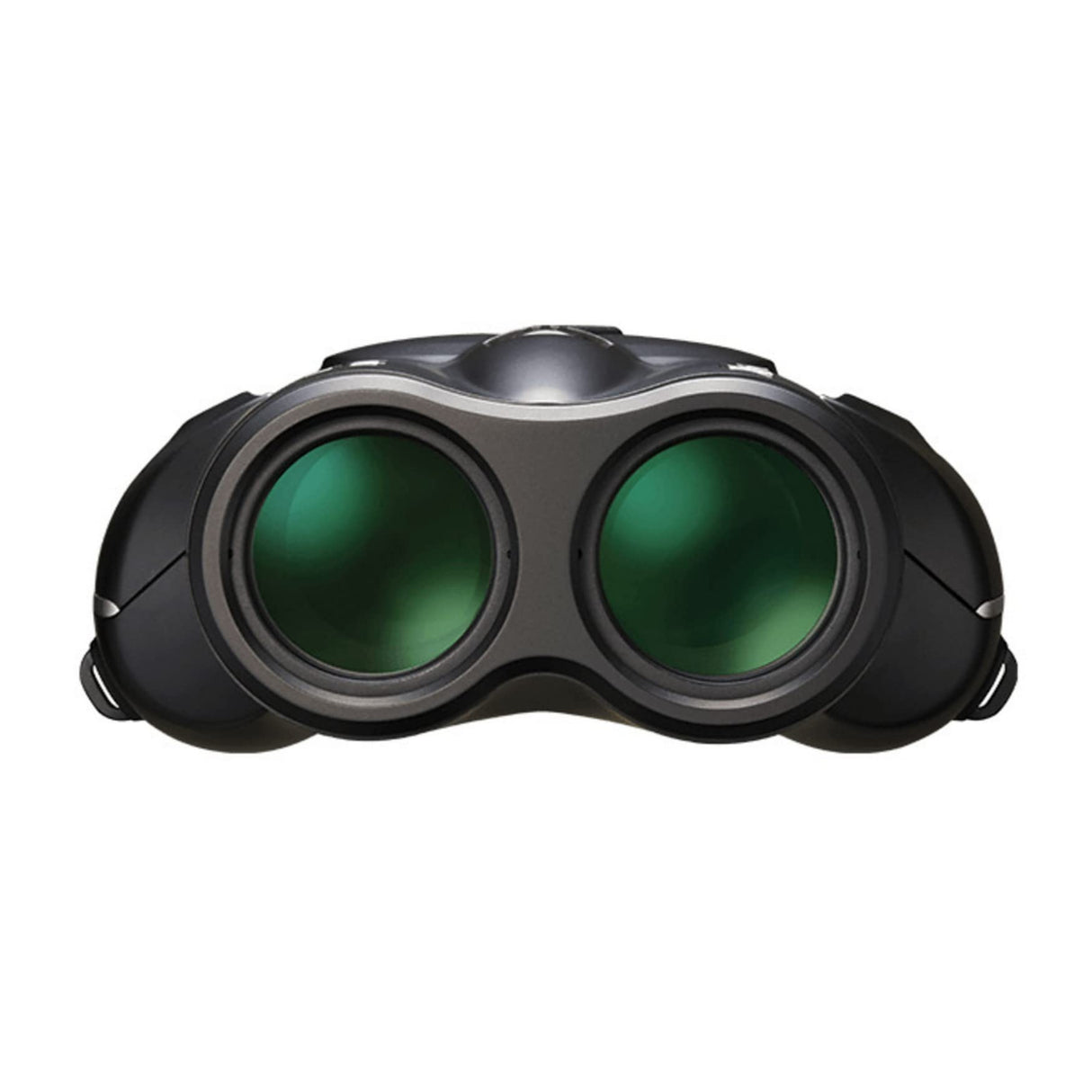 Nikon- Sportstar Zoom 8-24x25 Black Prismáticos, Multicolor, Compact (552918)