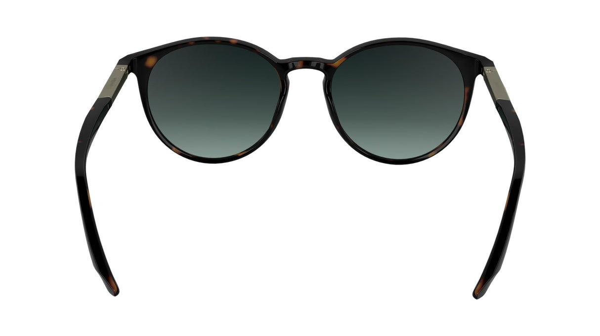 Calvin Klein Unisex Adult Sunglasses CK24539S - Dark Havana with Gradient Petrol Lens