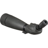 Celestron 52334 TrailSeeker 100: catalejo de 45 grados, negro