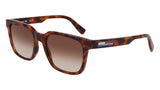 Lacoste Gafas de Sol L6028S 214 HAVANA 54/19/145 Hombre