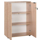BAKAJI Armario archivador de Documentos 2 Puertas, Mueble de Oficina, módulo estantería de 3 estantes, para casa, Oficina, Estudio, Porta Tarjetas, portadocumentos con Llave y Cierre de Cerradura