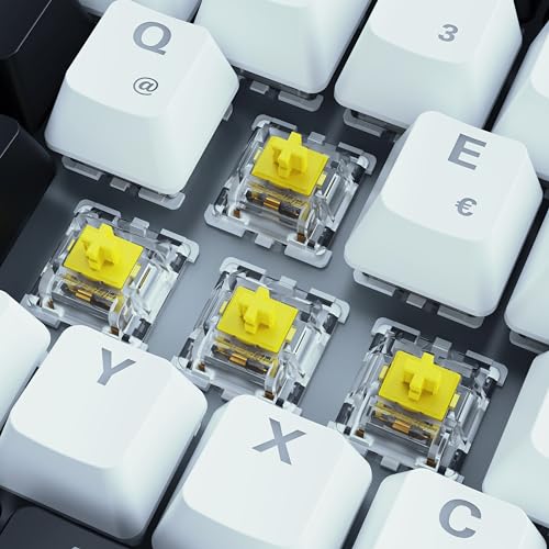 Sharkoon Skiller SGK50 S3 - Teclado para Videojuegos, Color Blanco, 75% de disposición