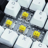 Sharkoon Skiller SGK50 S3 - Teclado para Videojuegos, Color Blanco, 75% de disposición