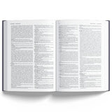 Diccionario de uso del español: Nueva Edición Actualizada (Diccionarios)