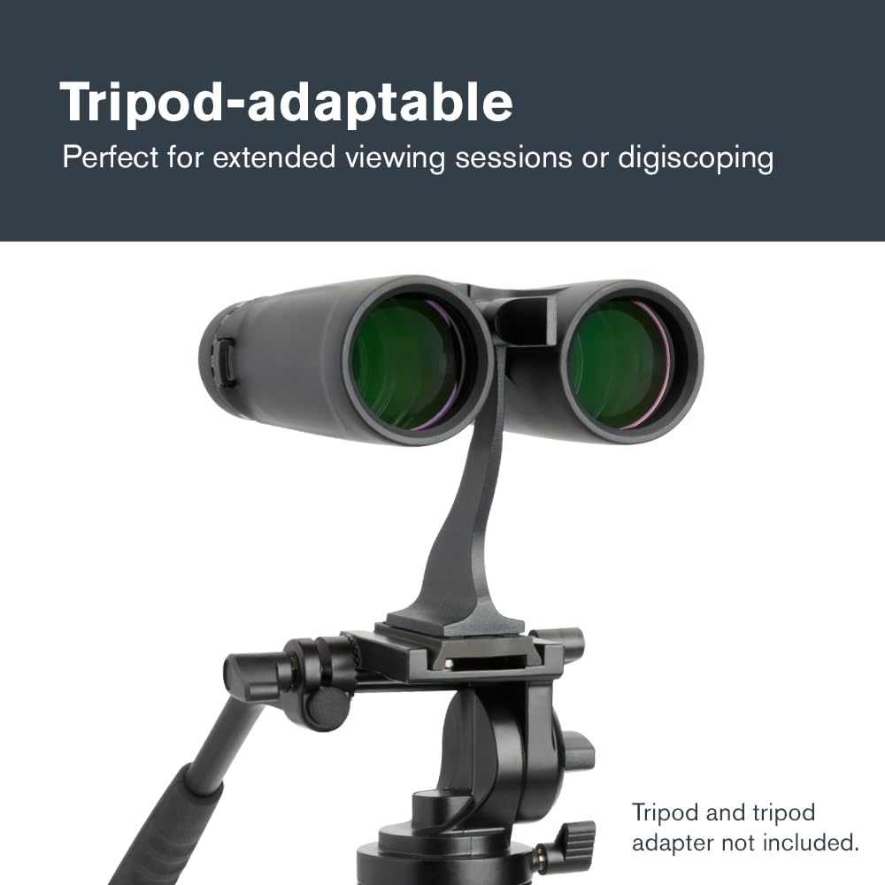 Celestron 71346 8 x 42 Outland X: prismáticos, negro