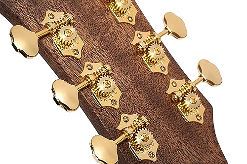 Cort Gold D6 Western Guitar