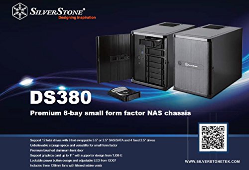 SilverStone SST-DS380 - Carcasa de ordenador de almacenamiento Mini-ITX con puerta, negro