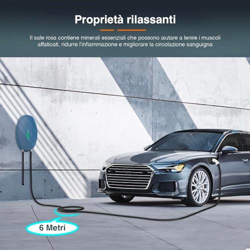 Avilia Cables de Carga para Coche eléctrico y vehículos de Tipo 2, trifásicos – Columna Impermeable para Carga rápida, Compatible con Todos los vehículos eléctricos de 11 kW, 6 Metros