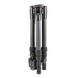 Manfrotto MKELES5CF-BH - Trípode element traveller pequeño con rótula de bola, fibra de carbono