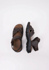 Panama Jack Sanders Basics, Sandalias con Punta Abierta Hombre, Marrón (Marron C1), 43 EU