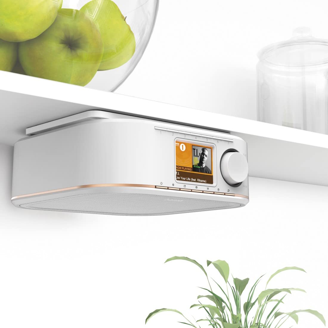 Hama Transmisión de Radio para Todos los Dispositivos DR350 estándar, Color Blanco