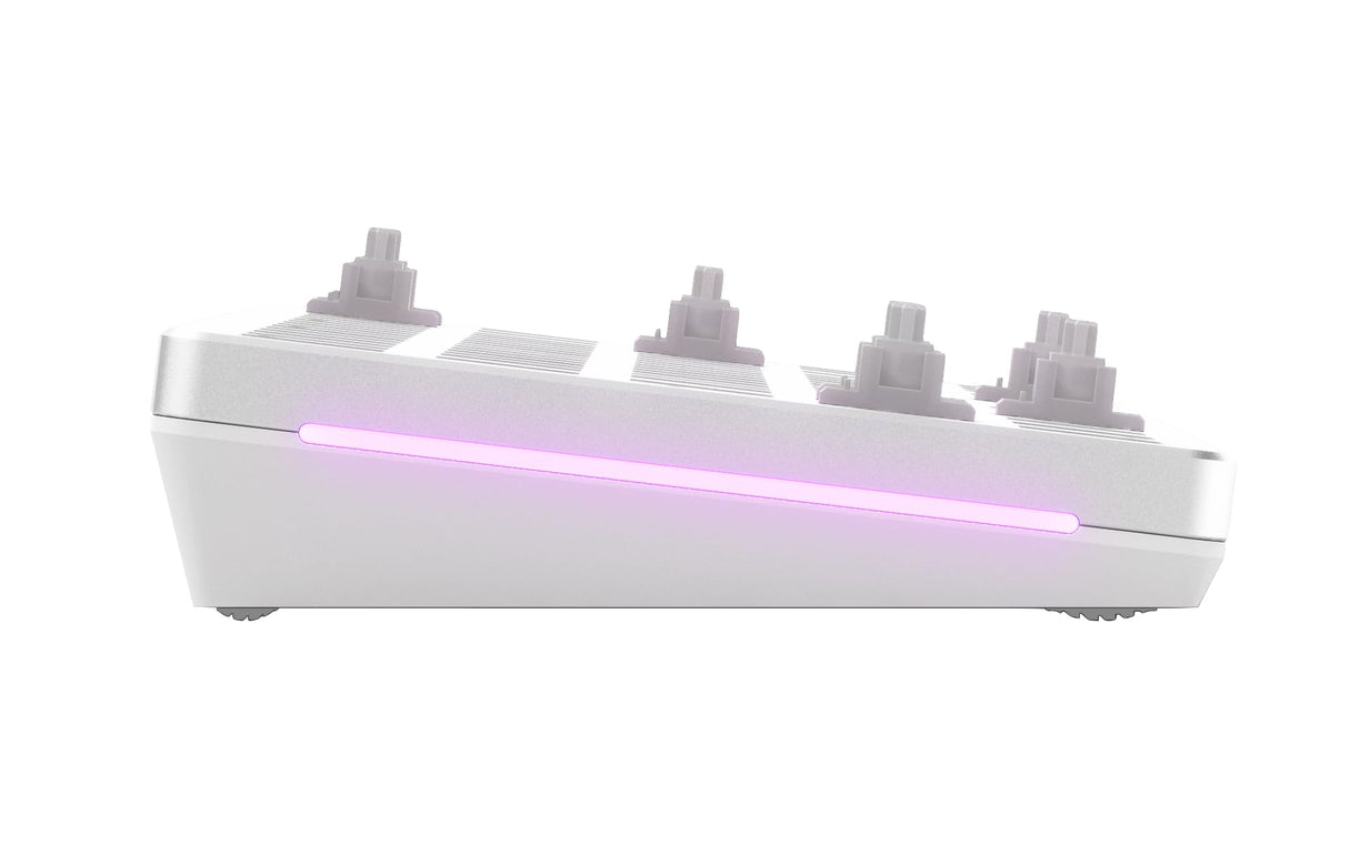 Glorious Gaming GMMK 2 Compact (65%) Barebones (solo carcasa) - Carcasa de teclado gaming mecánico, compacta TKL (65%), aluminio, personalizable, RGB, distribuciones americano / ANSI - Blanco