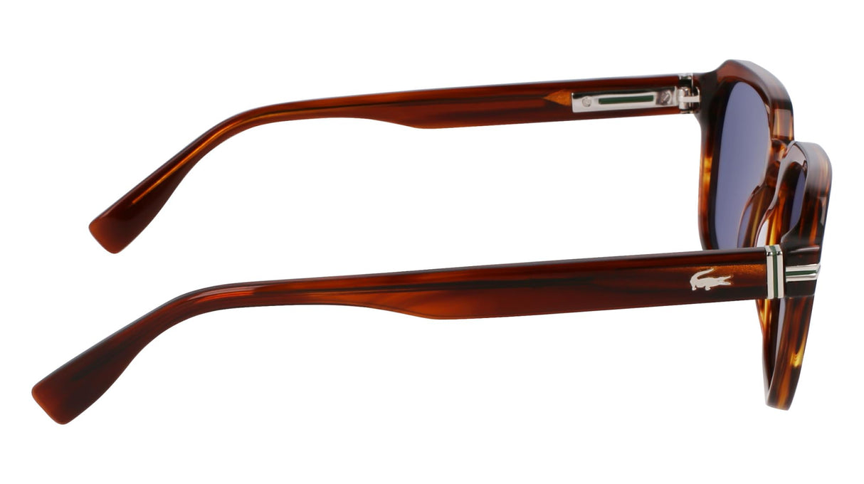 Gafas de Sol LACOSTE L6046S 210 STRIPED BROWN 52/20/145 Hombre