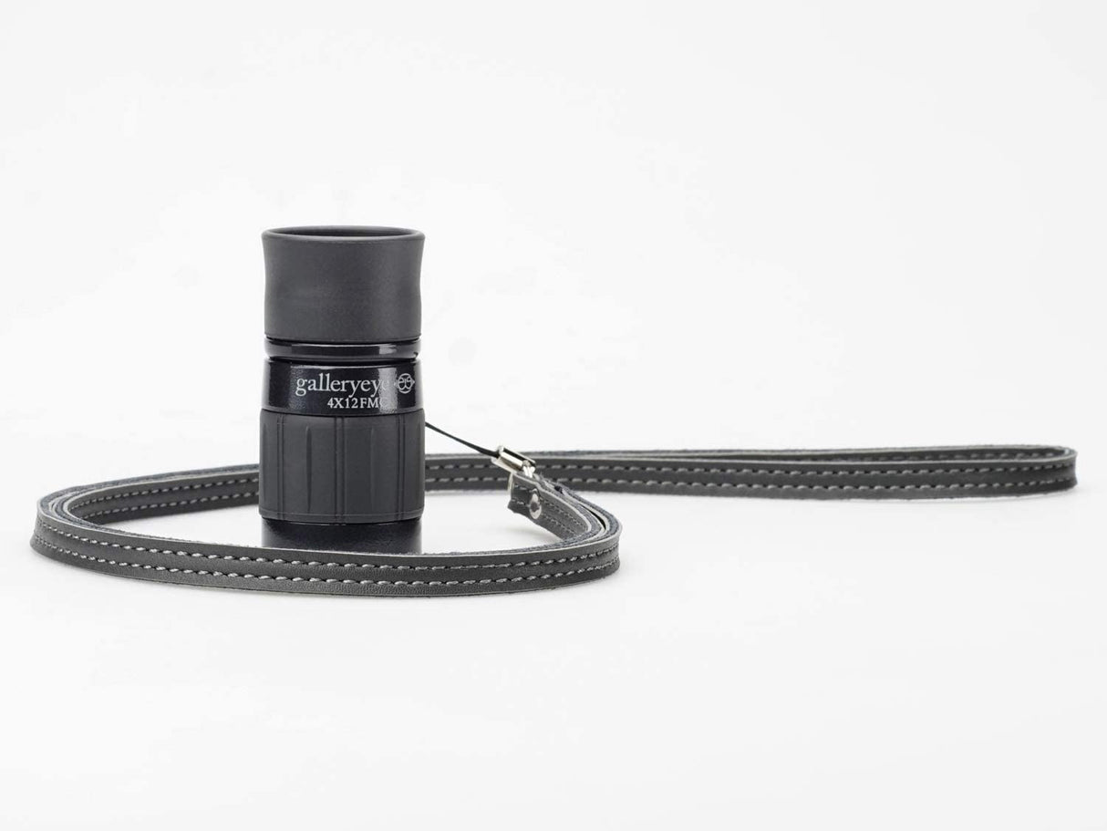 Kenko Gallery Eye 001462 - Monocular de 4 x 12 cm, Revestimiento múltiple, Distancia de Enfoque más cercana, 19 cm, Fabricado en Japón, para visualización de Arte, Color Negro