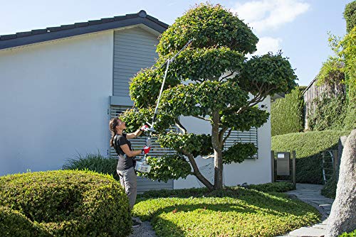 IKRA Herramienta multifunción a Gasolina IBKH 33, 4en1, Incl. prolongación, Lima de Cadena y Placa de protección