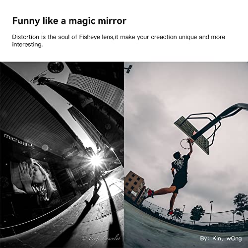 TT Artisan - Lente Ojo de pez de 11 mm f 2.8 conexión Sony E Mount Lente Ultra Gran Angular para Formato Completo en Carcasa de Aluminio, ángulo de Imagen de 180 Grados, 11 mm, F2.8, Negro