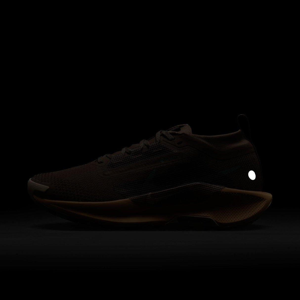 NIKE Pegasus Trail 5 Gore-Tex, Sneaker Mujer, Mink Brown Cannon Orange Chalk, 39 EU