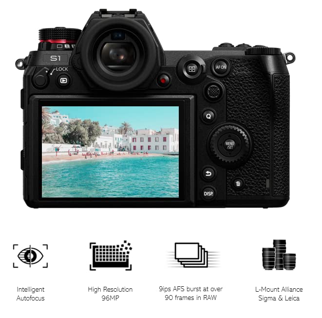 Panasonic Lumix DC-S1 - Cámara Digital de 25,28 megapíxeles Black