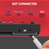 Nektar Impact LX61+ - teclado controlador MIDI USB con integración DAW