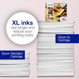 Epson C13T16364012 - Cartucho de tinta estándar, 4 Mutipack, Black/Yellow/Magenta/Cyan, Ya disponible en Amazon Dash Replenishment, XL-High Capacity