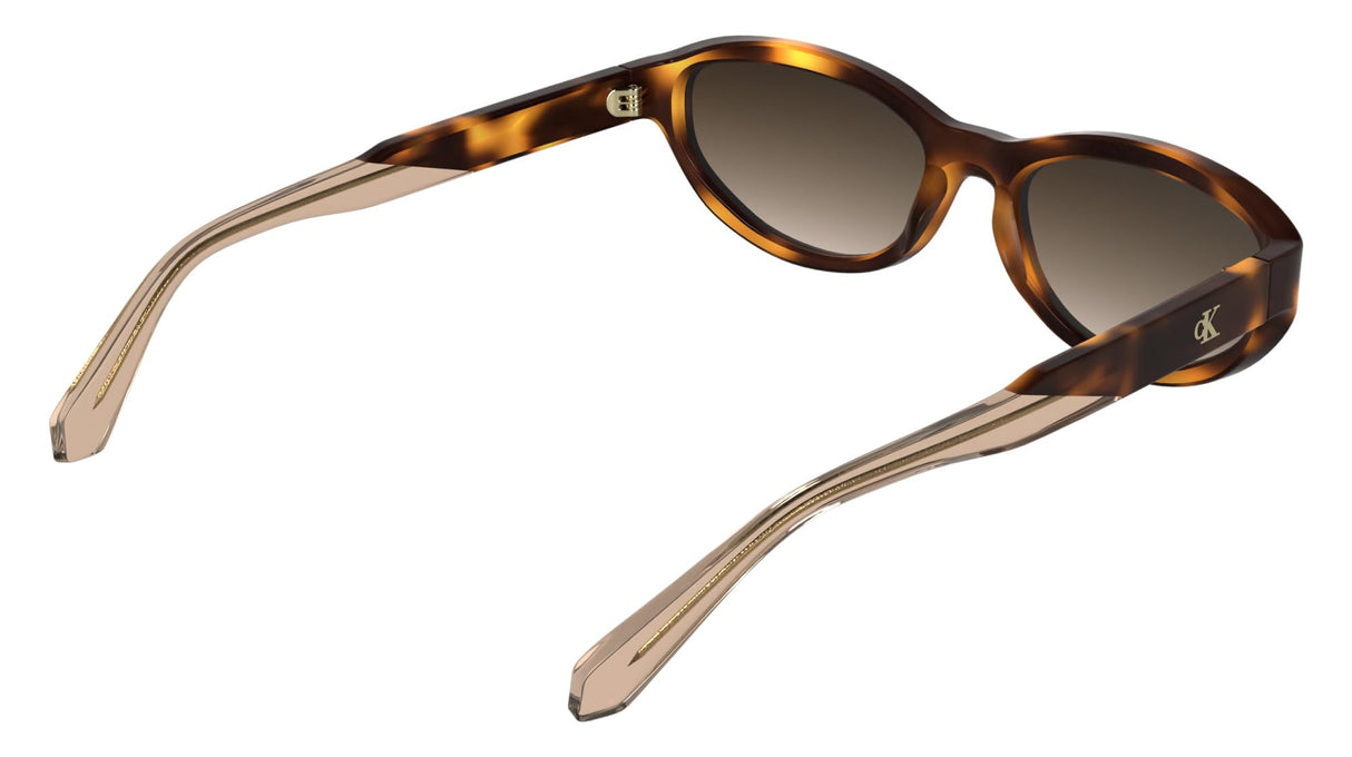 CALVIN KLEIN JEANS CKJ25618S Sunglasses, Havana, Talla única para Mujer