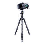 Vanguard Vesta TB 235CB - Trípode Viaje Carbono Compacto