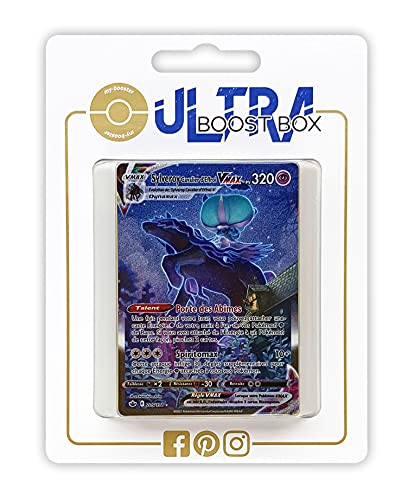 my-booster Company Pokemon 2-SWSH06-FR-205