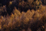 HD PENTAX-D FA 70-210 mm F4ED SDM WR: Teleobjetivo de Zoom para cámaras DSLR, Potente con Apertura Constante f/4, construcción Resistente a la Intemperie, mín. Distancia de Enfoque de 0,95 Metros.