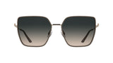 Calvin Klein Women's Sunglasses CK25111S - Rose with Gradient Rose Lens