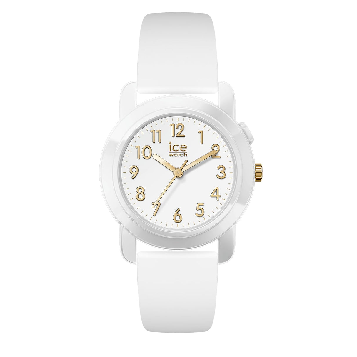 Ice-Watch Watch 024916