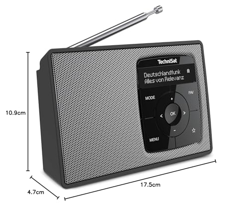 TechniSat DIGITRADIO 2 - Radio portátil Dab+/FM con batería (con transmisión de Audio Bluetooth, función Despertador, Pantalla OLED, Conector para Auriculares, Altavoz 1 W RMS) Negro-Plata