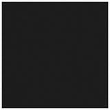 Epson T5807 Negro Light Cartucho de Tinta Original - C13T580700