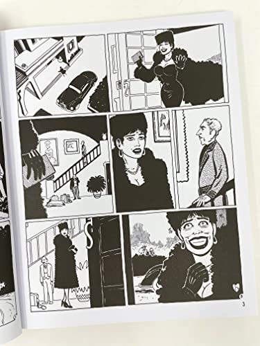 The Classic Love and Rockets 40th Anniversary Slipcase Set: The Classic 40th Anniversary Collection: 1-50 (The Love and Rockets Collection)