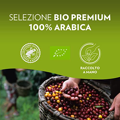 Lavazza, A Modo Mio - Máquina de café Tiny Eco verde con 64 cápsulas ¡Tierra! Surtidas, cafetera expreso de plástico reciclado, 1450 W, 220-240 V, 50/60 Hz, 0,6 litros