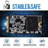 Dogfish m.2 2242 1TB Ngff Unidad De Estado Sólido Incorporada Altura de Alta Velocidad Unidad de Disco Duro de Alto Rendimiento para computadora portátil de Escritorio(1TB, m.2 2242)