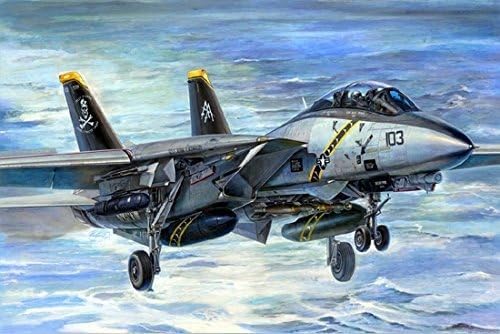 Trumpeter 03202 F14B Tomcat - Caza a escala [Importado de Alemania] , color/modelo surtido