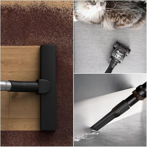 Rowenta Compact Power XXL Aspiradora con cable sin bolsa, motor EffiTech, depósito suciedad 2,5L, tecnología ciclónica, cabezal alta eficiencia, accesorio para mascotas, aspiradora silenciosa, RO4871