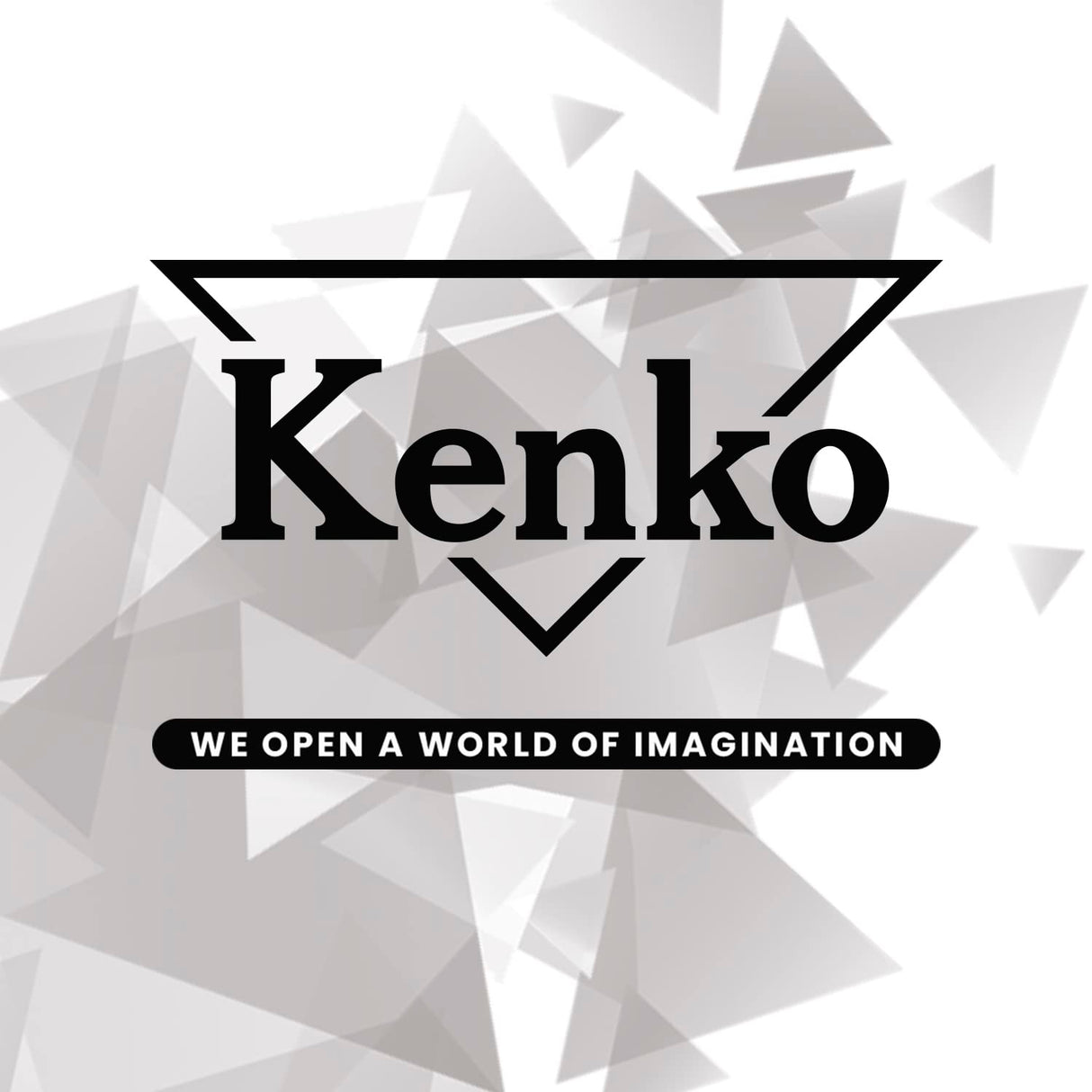 Kenko Teleplus HD Dgx Adaptador para Objetivo Fotográfico (Canon EF,Nikon-AF, Negro, 3,58 cm, 157 G)