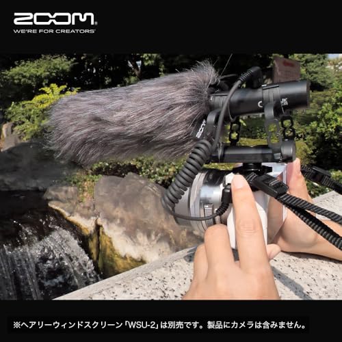 Zoom ZSG-1 - Micrófono direccional para cámaras y smartphones, color negro