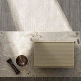 Bang & Olufsen Beosound Level Altavoz Inalámbrico Bluetooth Portátil y WiFi, El Primer Altavoz Certificado de Diseño Regenerativo Cradle to Cradle, IP54, Hasta 16 Horas de Batería Gold Tone/Wood