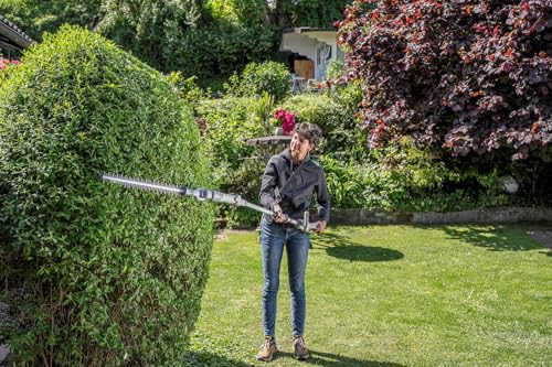 IKRA Tijeras Cortasetos 2 en 1 ICPH 2050 con pértiga telescópica para setos Altos, Incl. 2 baterías de 20 V, estación de Carga rápida y Cinta de Hombro