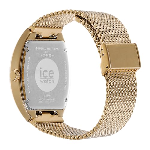Ice-Watch - ICE boliday Dome Metal mesh Black GD - Reloj dorado para Mujer con Correa de Acero Inoxidable - 024486 (Small)