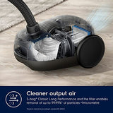 Electrolux EB61 C3 WBL Aspirador Trineo con Bolsa, Marrón Avellana