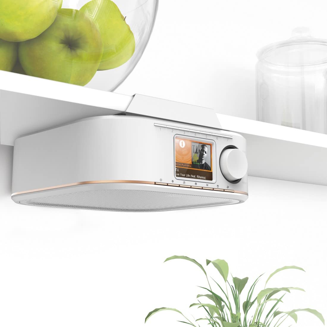 Hama Transmisión de Radio para Todos los Dispositivos DR350 estándar, Color Blanco