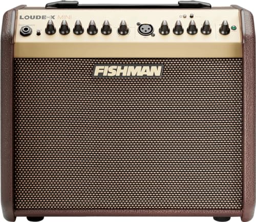 FISHMAN Verstärker Loudbox Mini, 60W, Bluetooth, 305 x 349 x 247mm, 8,90 kg